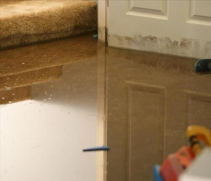 A pool of water at the bottom of stairs in a residential home.